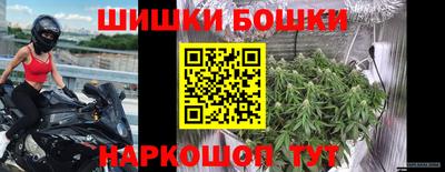 индика Балахна