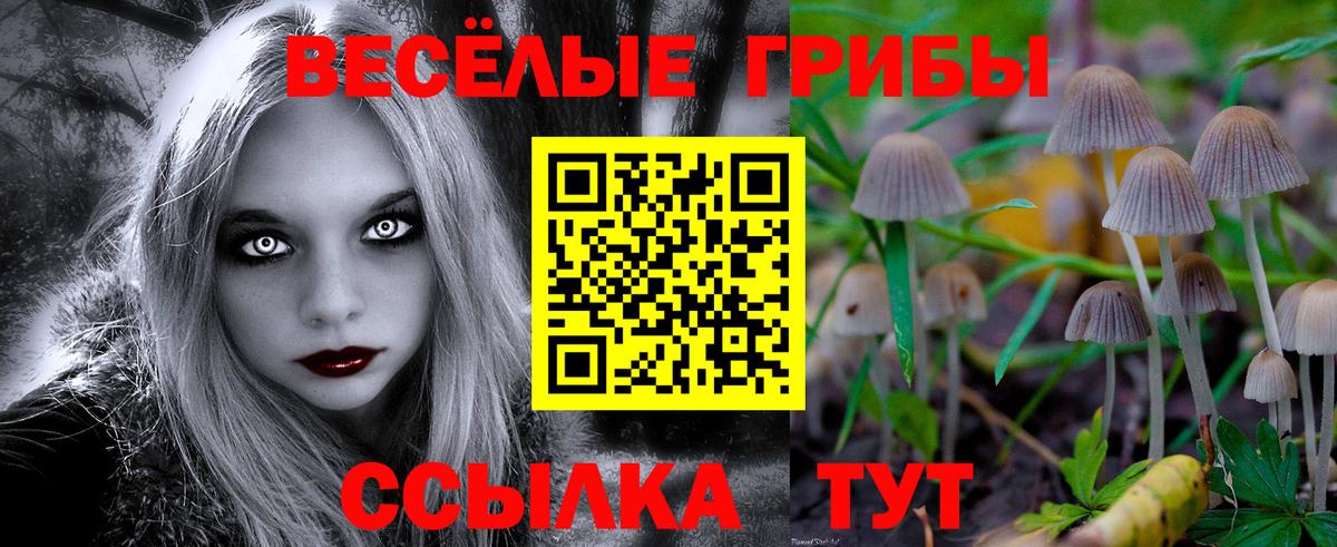Псилоцибиновые грибы Psilocybine cubensis Елизово