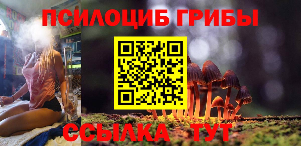 Елизово  Псилоцибиновые грибы Psilocybine cubensis  Галлюциногенные грибы Psilocybine cubensis  Вход с VPN 